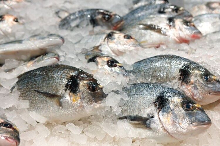 На ринках Волині перевірили якість рибної продукції