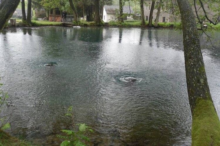 «Не біжить і навіть не капає»: унікальне джерело Волині опинилося під загрозою