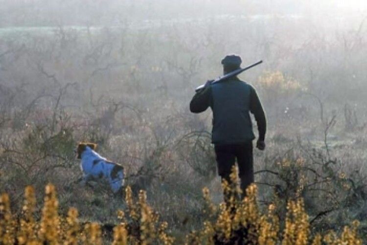 Після відкриття сезону полювання на копитних та хутряних звірів у Волинській області складено 19 протоколів