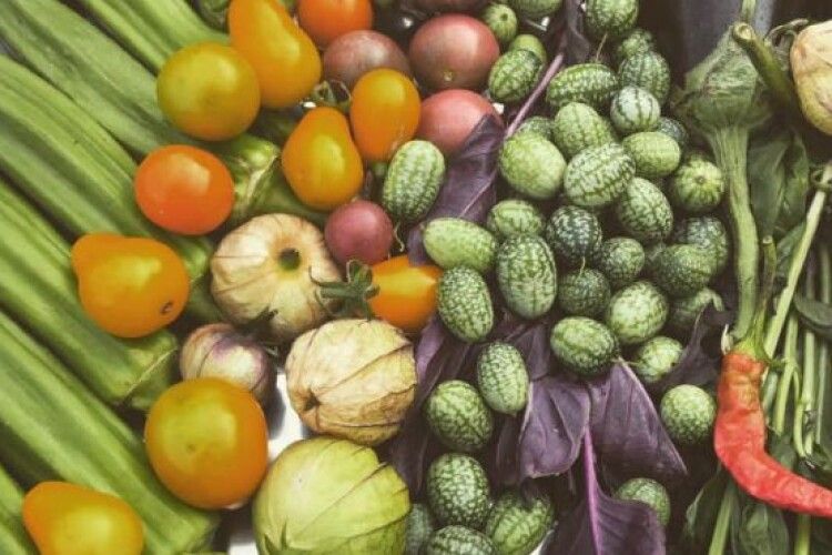 Українські аграрії переходять на екзотичні овочі