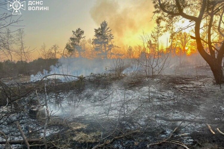 Волинь перетворюється на випалену пустелю