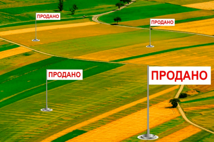 Фейкові фермери скуповують для агрохолдингів по 100 га землі – Тимошенко 