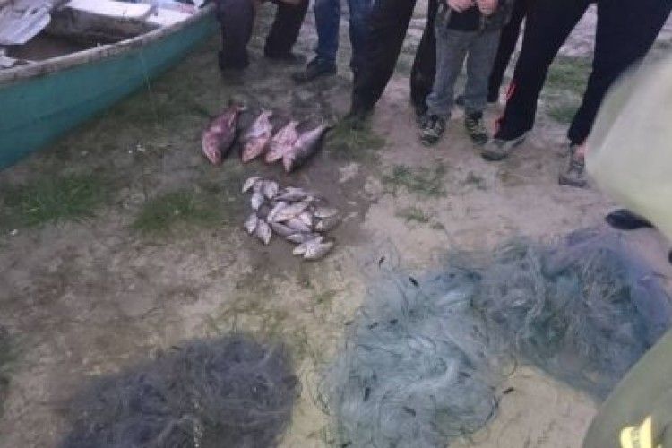 40 сріблястих карасів і півдюжини товстолобів стали жертвами браконьєрів, які промишляли на озері Сільське
