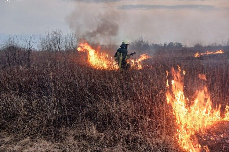 На Волині влада і правоохоронці безсилі перед паліями