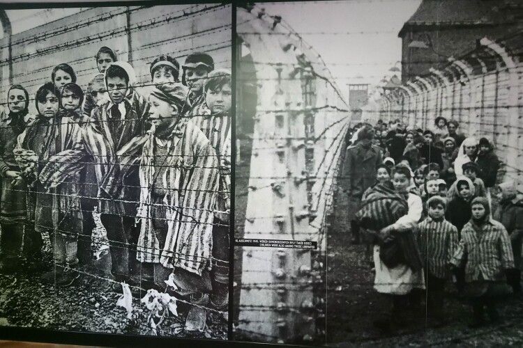 Є експозиція з фотографіями, їх близько сотні, які таємно зробив німець, працівник концтабору.