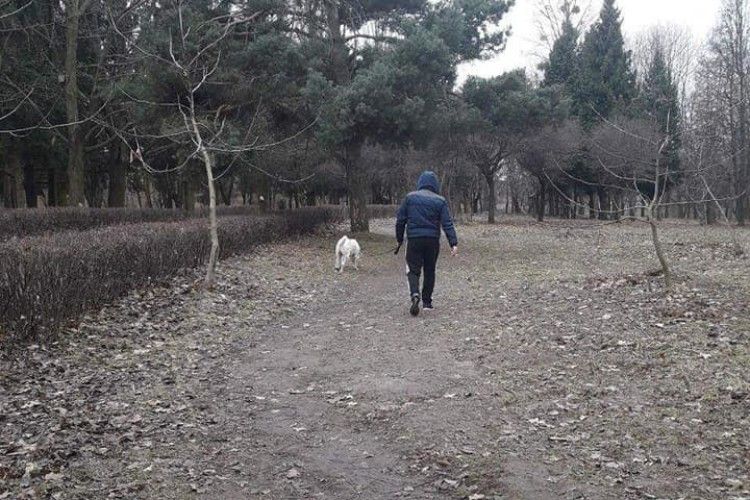 Два адмінпротоколи - за неправильне поводження з домашніми улюбленцями склали муніципали
