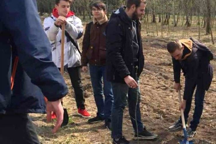 Студенти і викладачі Луцького НТУ долучилися до висадки дерев на честь загиблих воїнів АТО