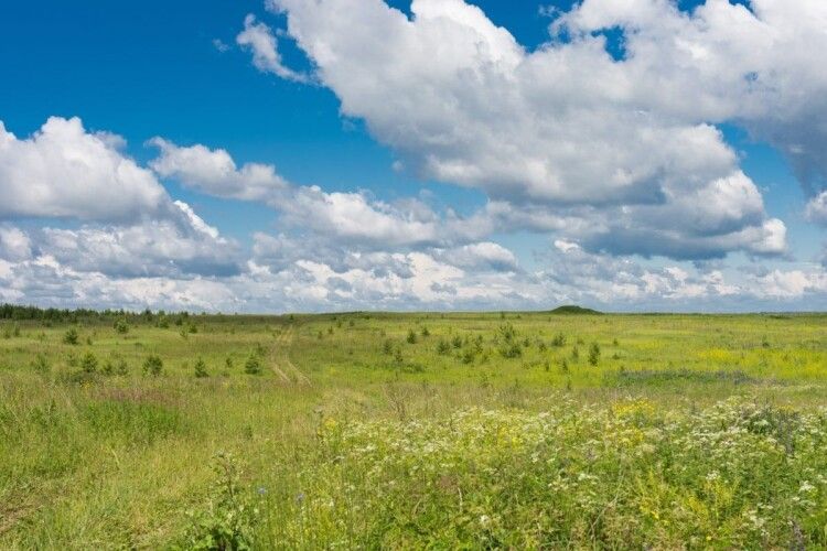 Орендар повернув громаді ділянку вартістю 15 мільйонів гривень