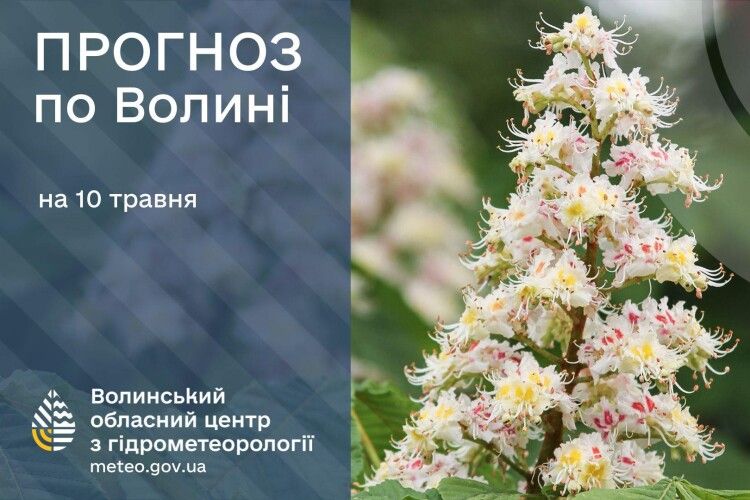 На скільки часу задощило на Волині