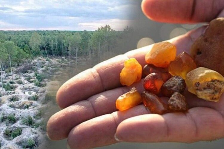 На Волині засудили бурштинокопача із Рівненщини