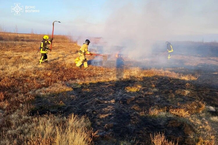 На Волині через людську недбалість горіли чагарники та суха трава