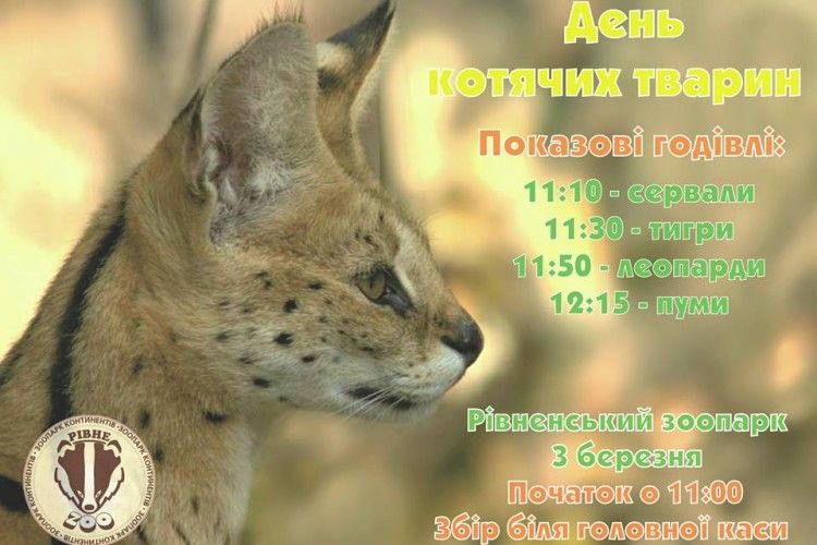 Рівненський зоопарк кличе на День котячих тварин