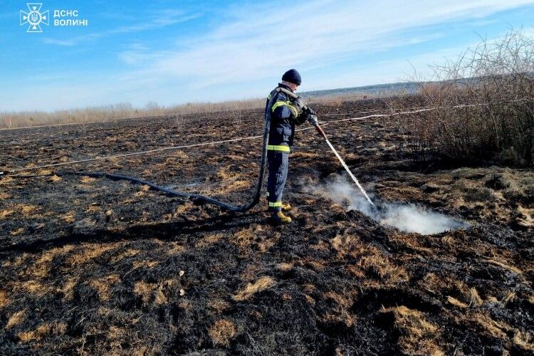 На Волині рятувальники цілу добу боролися із вогняним пеклом