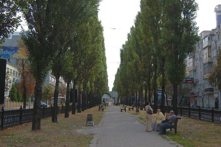 Лучани пропонують перетворити проспект Грушевського на бульвар