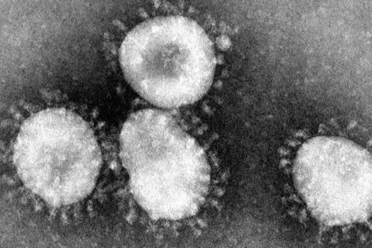 Більше сотні людей вже померли від коронавірусу