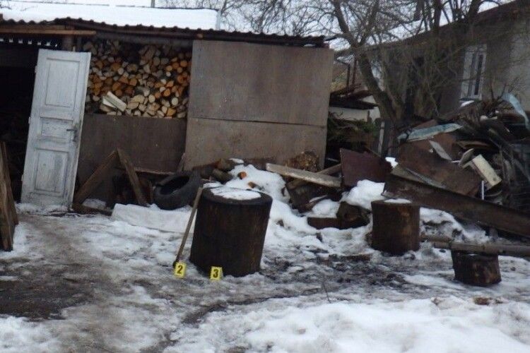 На Львівщині чоловік вбив кота руків'ям сокири