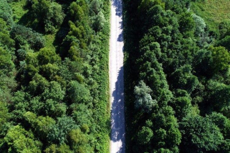У Камінь-Каширському районі людям заборонили ходити в ліс