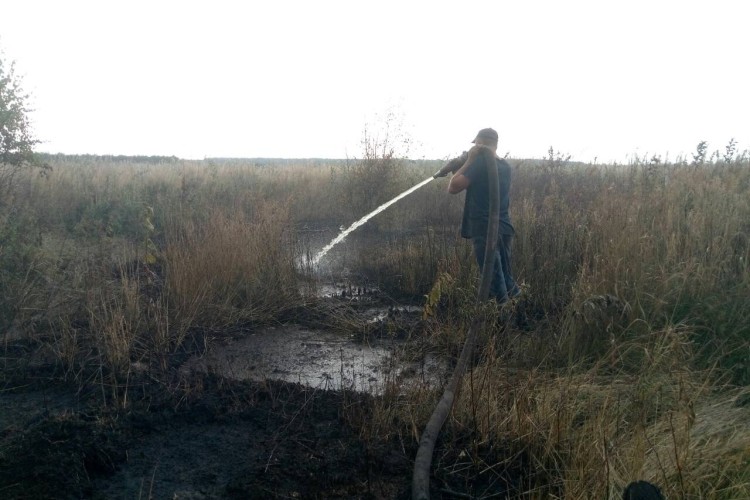 Волинські рятувальники двічі за тиждень гасили торф’яники