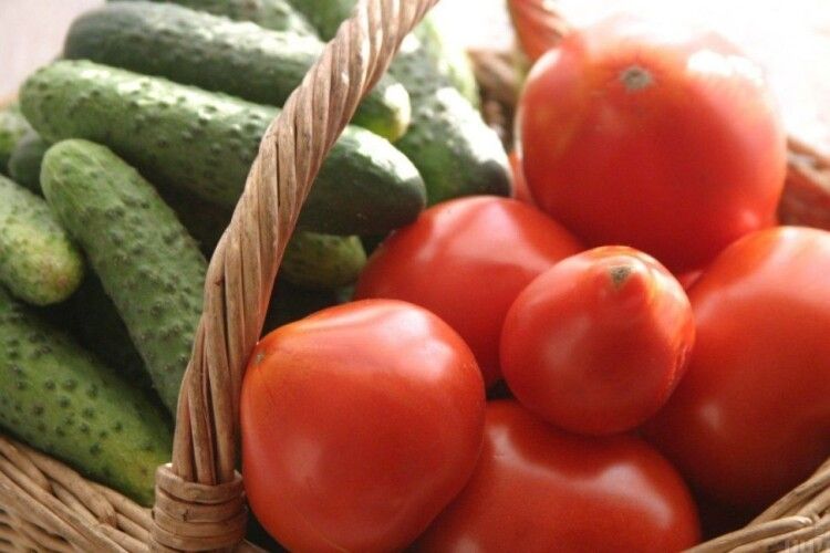 В Україні рекордно здорожчають тепличні огірки і помідори