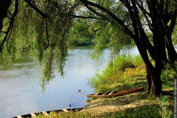 Асоціація рибалок: в Україні зникають малі річки