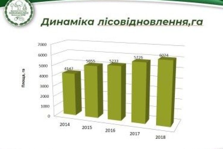 За минулий рік на Волині відновлено 6074 гектарів лісу