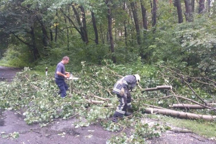 Підтоплені хати, повалені дерева: волинські рятувальники ліквідували наслідки негоди