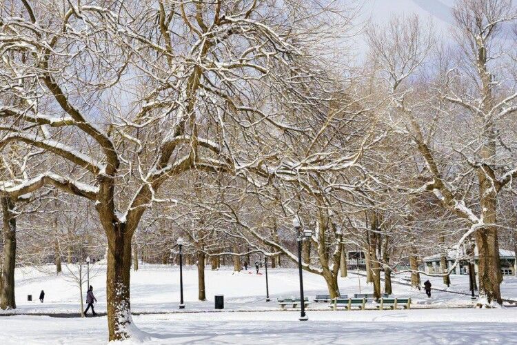 Якою буде погода на Волині