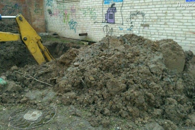 Луцькі «муніципали» злапали «крота»-нелегала (фото) 