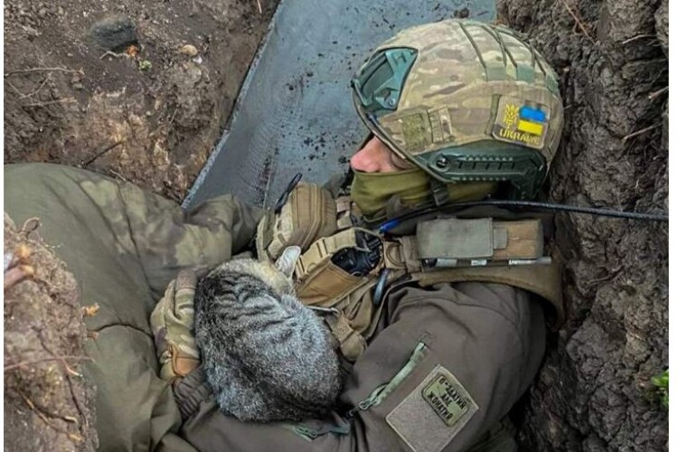 Нижче за мертвих