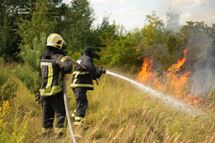 На Волині спіймали двох паліїв сухостою та сміття: на них склали протоколи