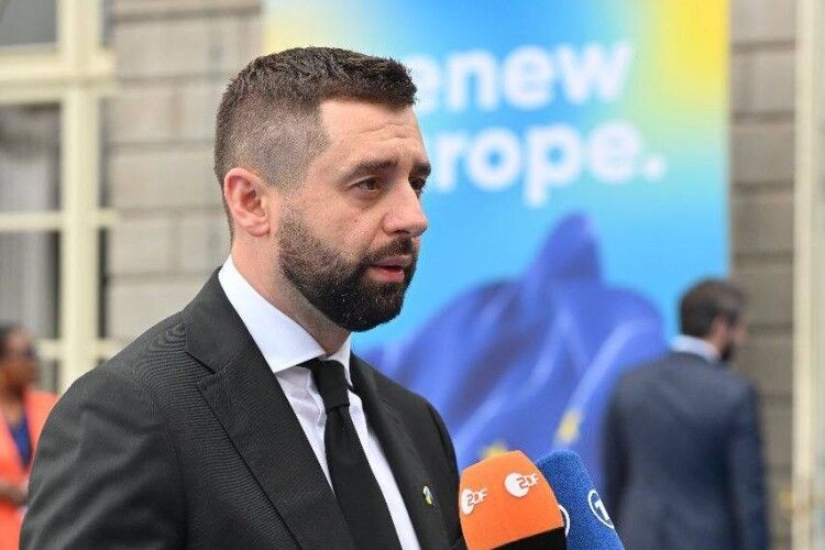 «Треба рухатись швидше»: Давид Арахамія анонсував зміни у процедурі мобілізації 