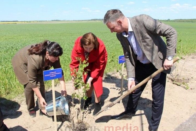 На Ковельщині про загиблих захисників нагадуватиме червона калина