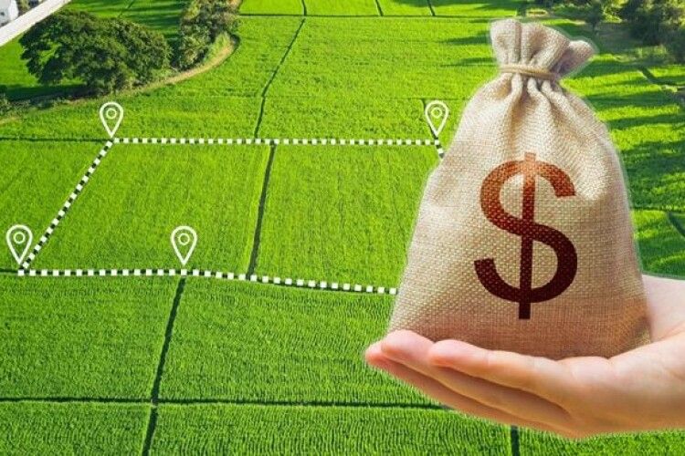 На Волині земля дорожча, ніж на Рівненщині