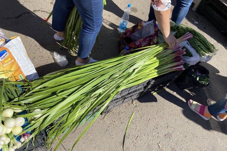 Чи будуть у Луцьку працювати ринки в день Трійці