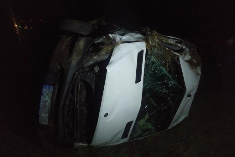 На Львівщині автомобіль збив жінку, з’їхав у кювет і перекинувся (Фото)