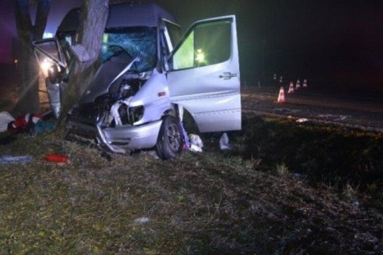В Угорщині автобус врізався у дерево, постраждали 10 українців