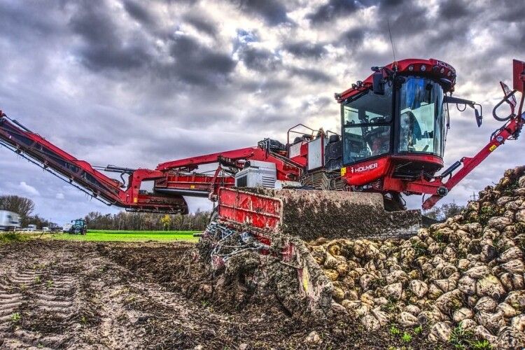 В Україні подорожчає цукор