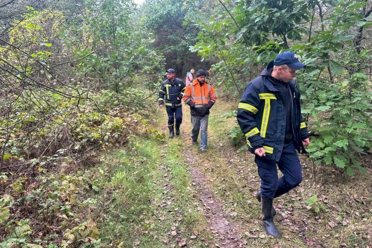На Волині вже другу добу шукають зниклого в лісі грибника-пенсіонера