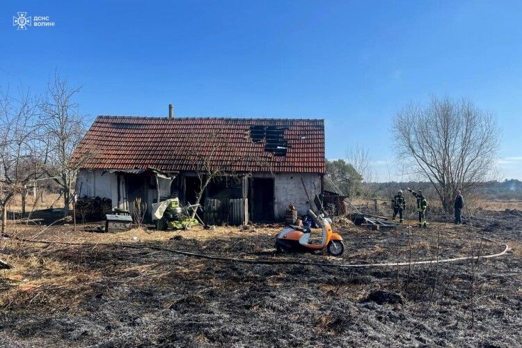 Волинь масовано атакують прихильники путіна (Фото)