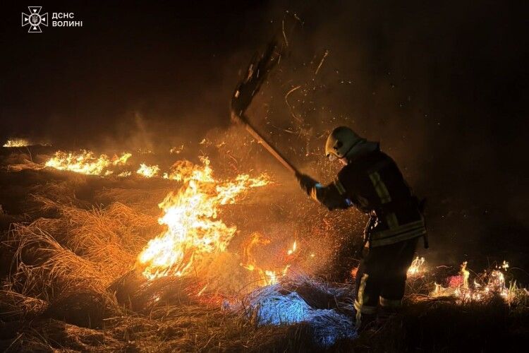 На Волині вогонь перетворив поля на гектари попелу