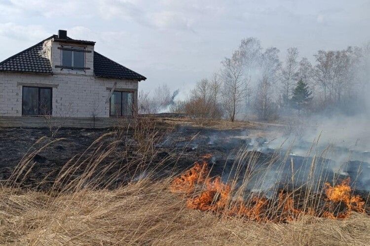 Волинянин під час спалювання сухої трави ледь не спалив будинок сусідам (Фото)