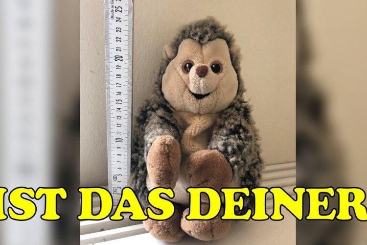 У Берліні поліція шукає власника іграшкового їжака (фото)