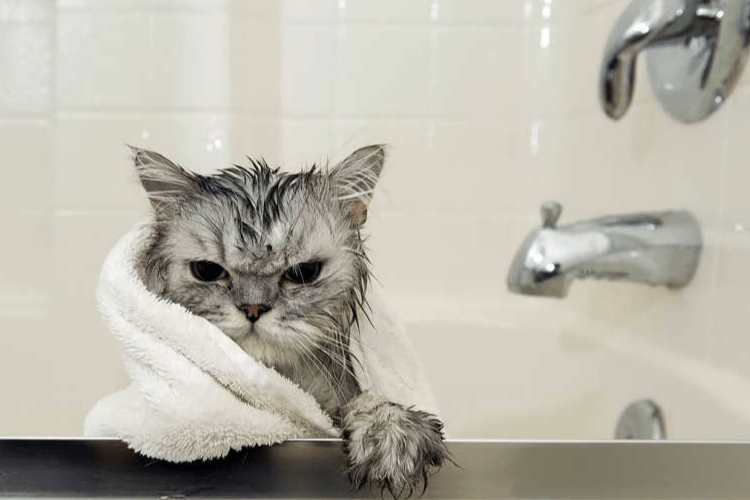 Коли у Луцьку «зникне» гаряча вода: затверджено графік відключень на 2026 рік