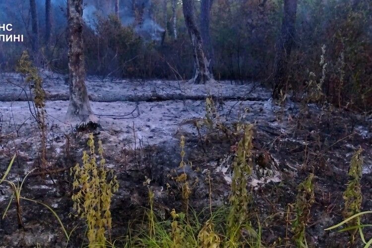 На Волині через людську недбалість земля побіліла посеред літа