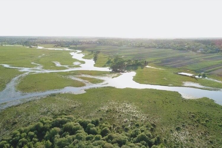 Волинський археолог знайшов забуту річку на Поліссі