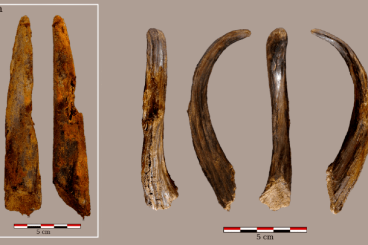 Вчені знайшли дерев'яні знаряддя праці неандертальців, яким 90 тисяч років