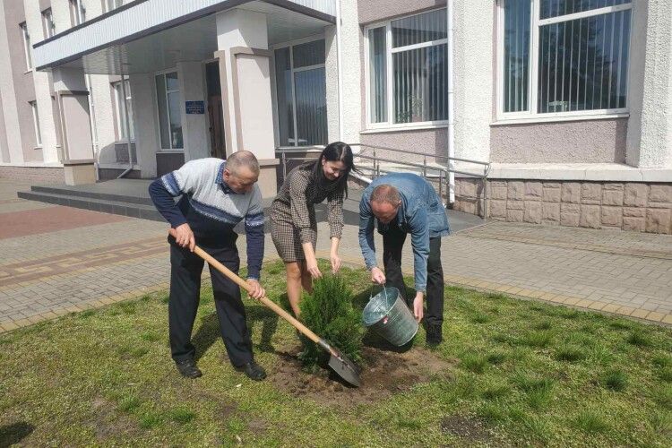 Селище на Волині активно озеленюють
