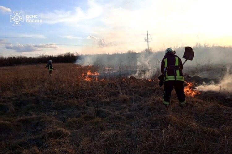 На Волині упіймали одного з паліїв