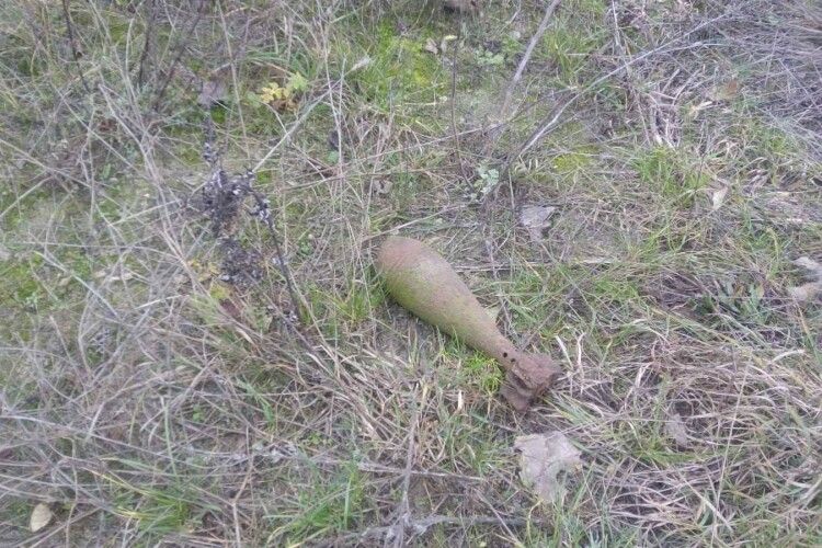 На Волині у лісосмузі знайшли два снаряди