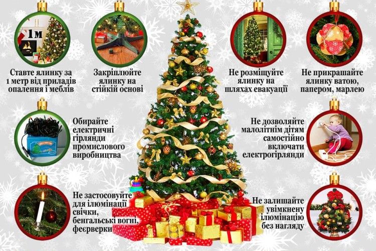 Волинянам розповіли, де краще ставити ялинку